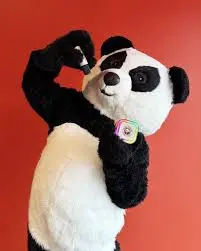 Pandaoke Pop-Up Karaoke Tour